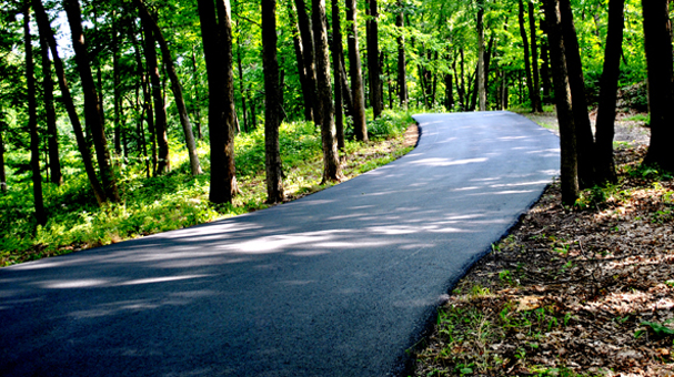 A professionally paved Gavers Pavers driveway